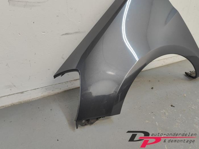 Scherm links-voor van een Renault Clio (TEB66), Auto-onderdelen, Gebruikt, -, Renault, -