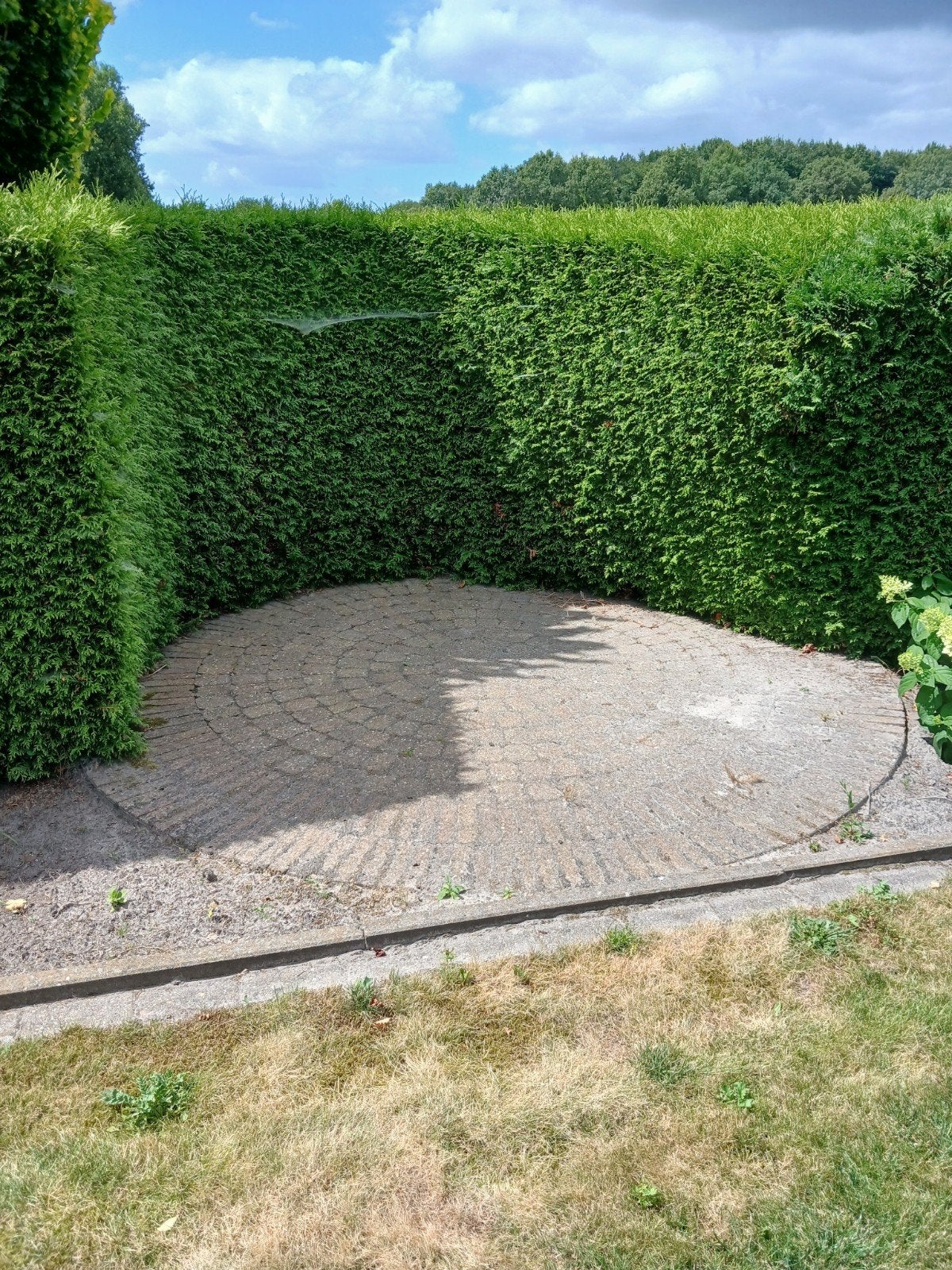 Cirkels van waaltjes, Ophalen