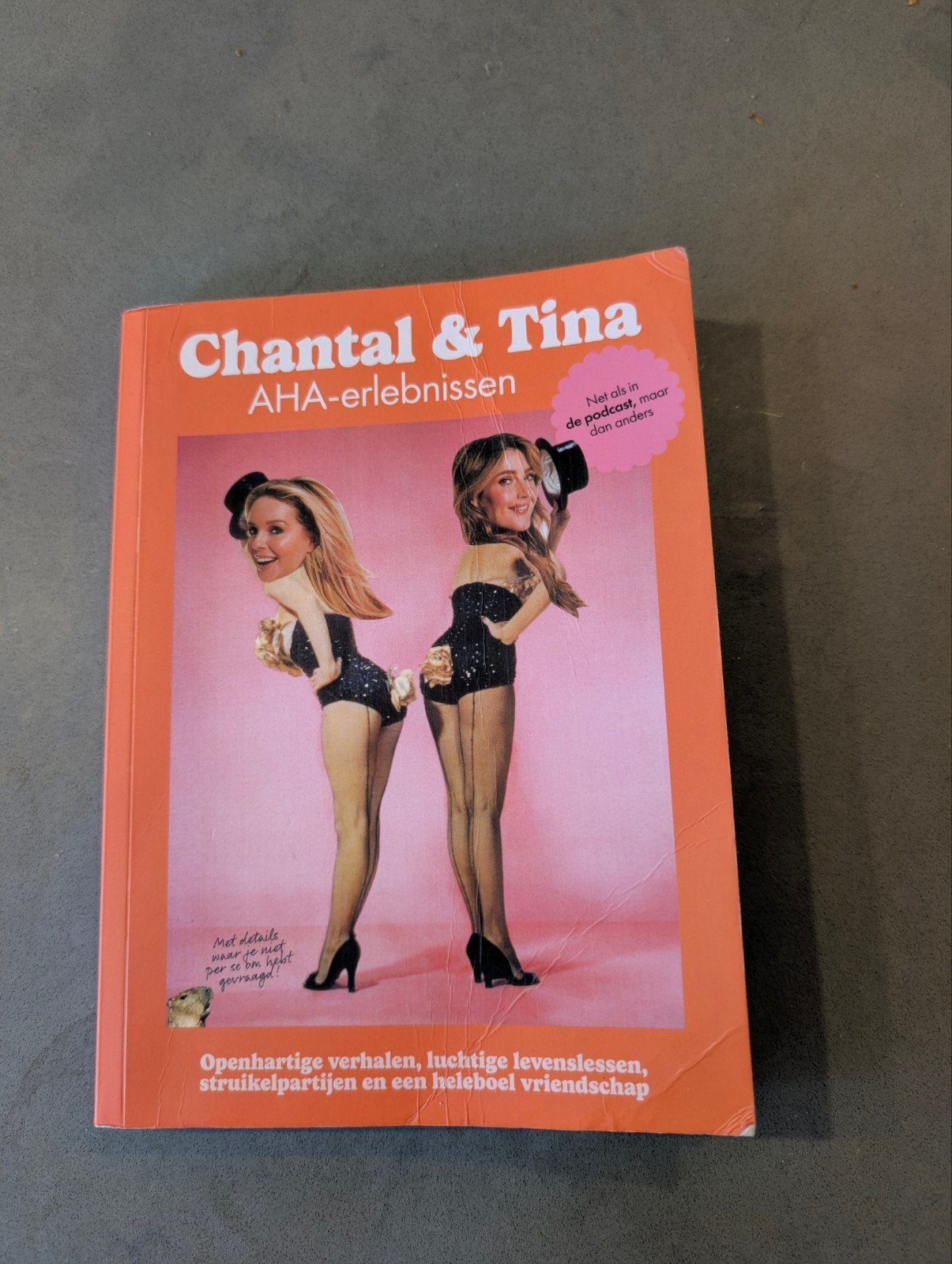 Chantal & Tina aha-erlebnissen, Gelezen, Anne van Aartrijk, Ophalen of Verzenden, Mode algemeen
