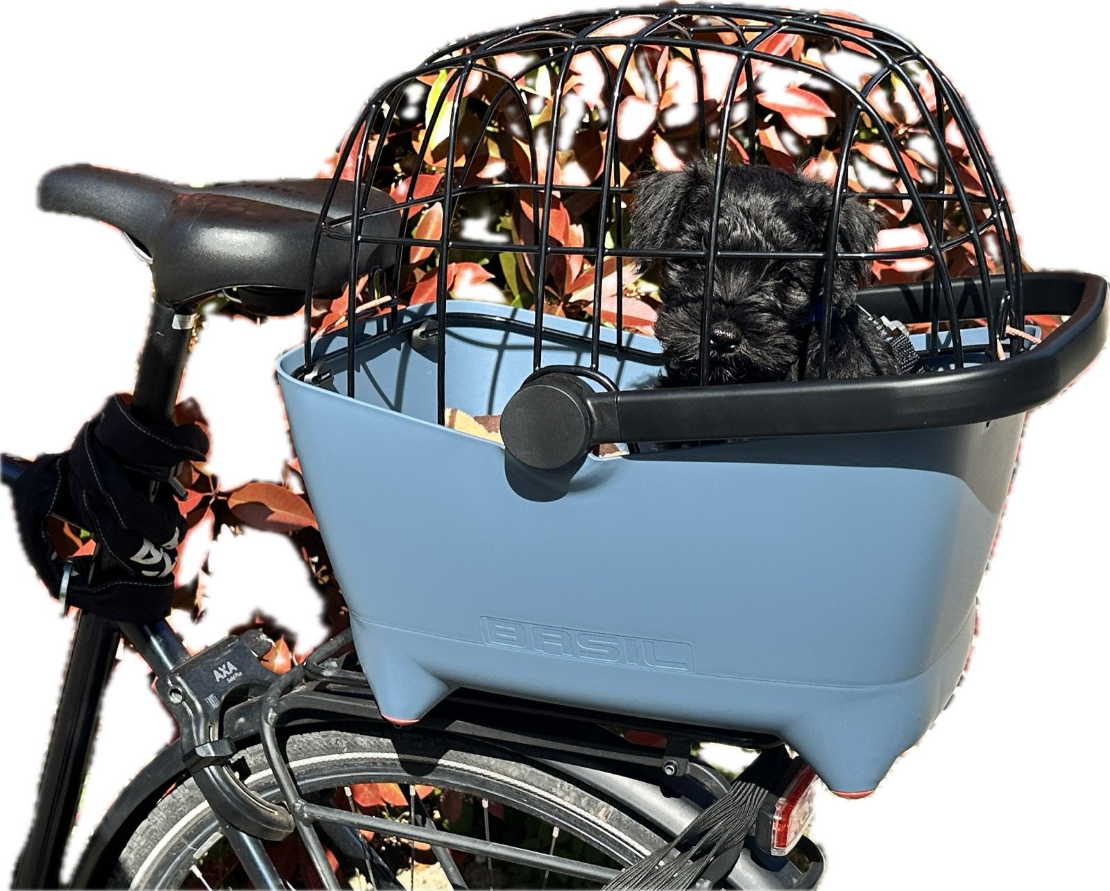 Basil Buddy hondenfietsmand achterop, incl korf, Ophalen, Zo goed als nieuw, Fietsmand