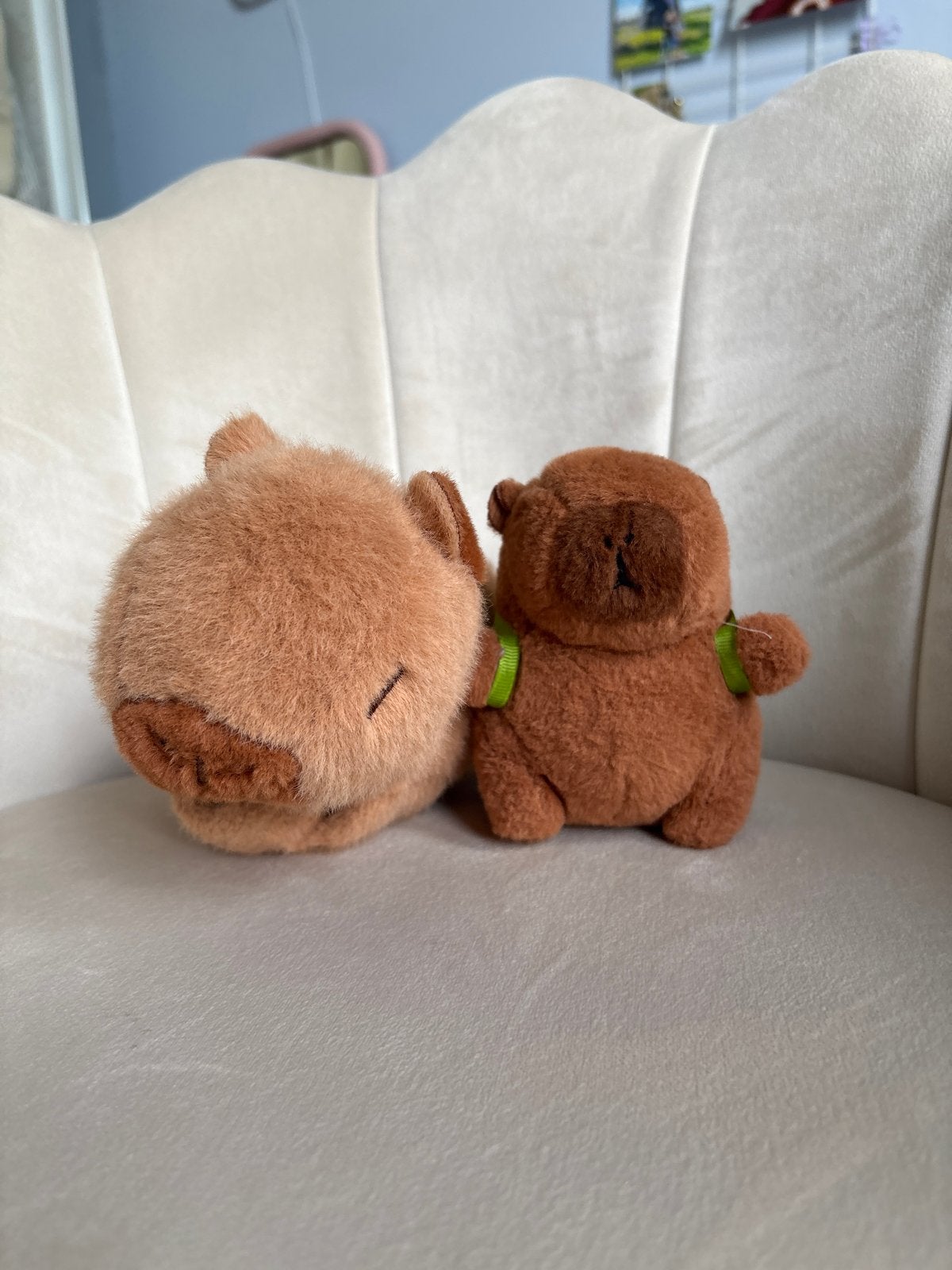 Schattige Capibara Knuffel met Avocado Rugzakje, Overige typen, Ophalen of Verzenden, Zo goed als nieuw, Met kleding of accessoire