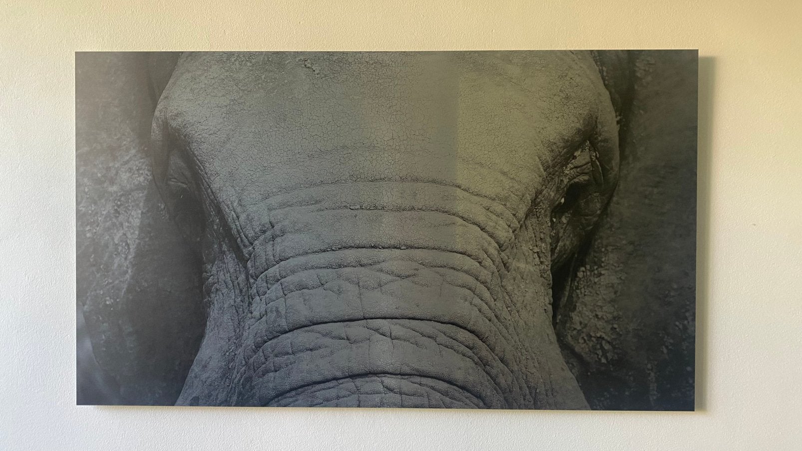 Schilderij olifant mat geborsteld staal 130 x 75 cm, Ophalen