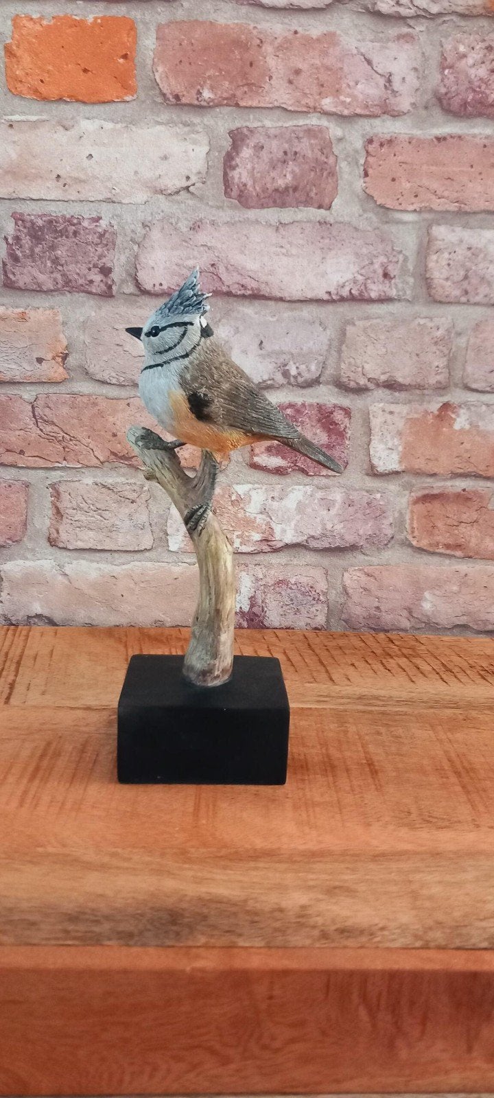 Vogel op een Tak Beeld♥️NIEUW♥️, Ophalen of Verzenden, Nieuw, Dier