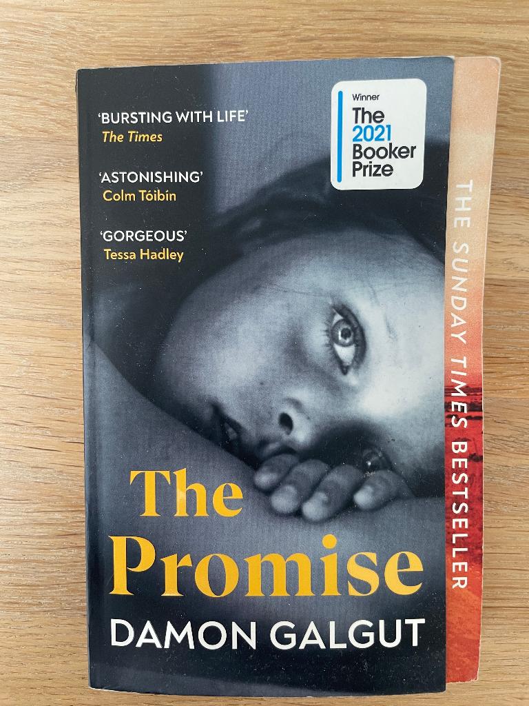 The Promise -  Damon Galgut -  Booker Prize, Ophalen of Verzenden, Gelezen, Damon Galgut