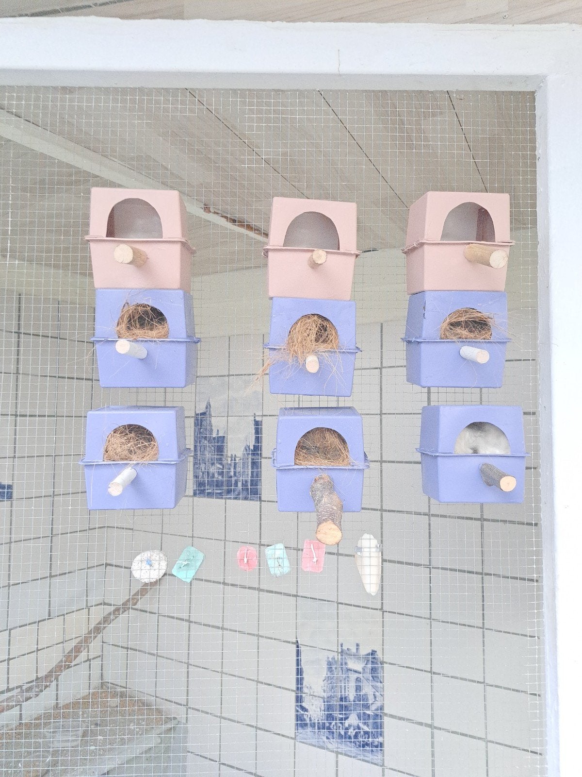 nestkastjes broedblokjes voor tropische vogels zebravinken, Dieren en Toebehoren, Ophalen of Verzenden, Nieuw, Hout