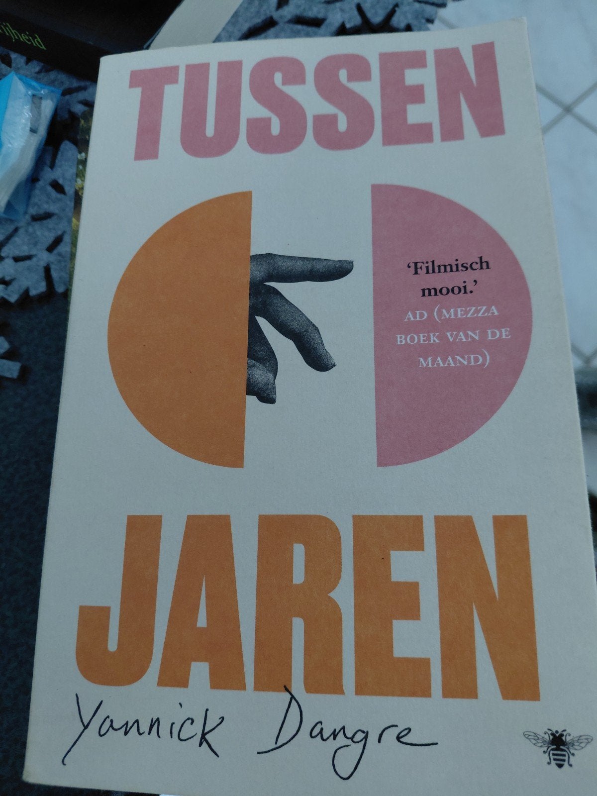 Yannick Dangre - Tussenjaren, Boeken, Literatuur, Zo goed als nieuw, Ophalen of Verzenden
