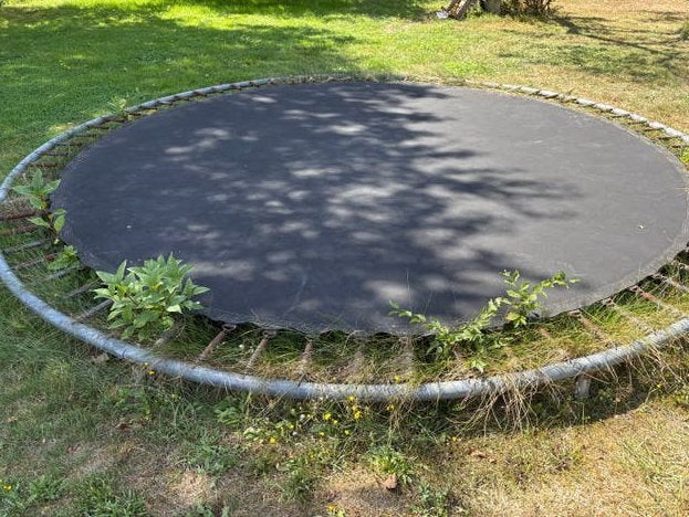 Gratis: Grote ronde trampoline voor buiten, Ophalen, Gebruikt