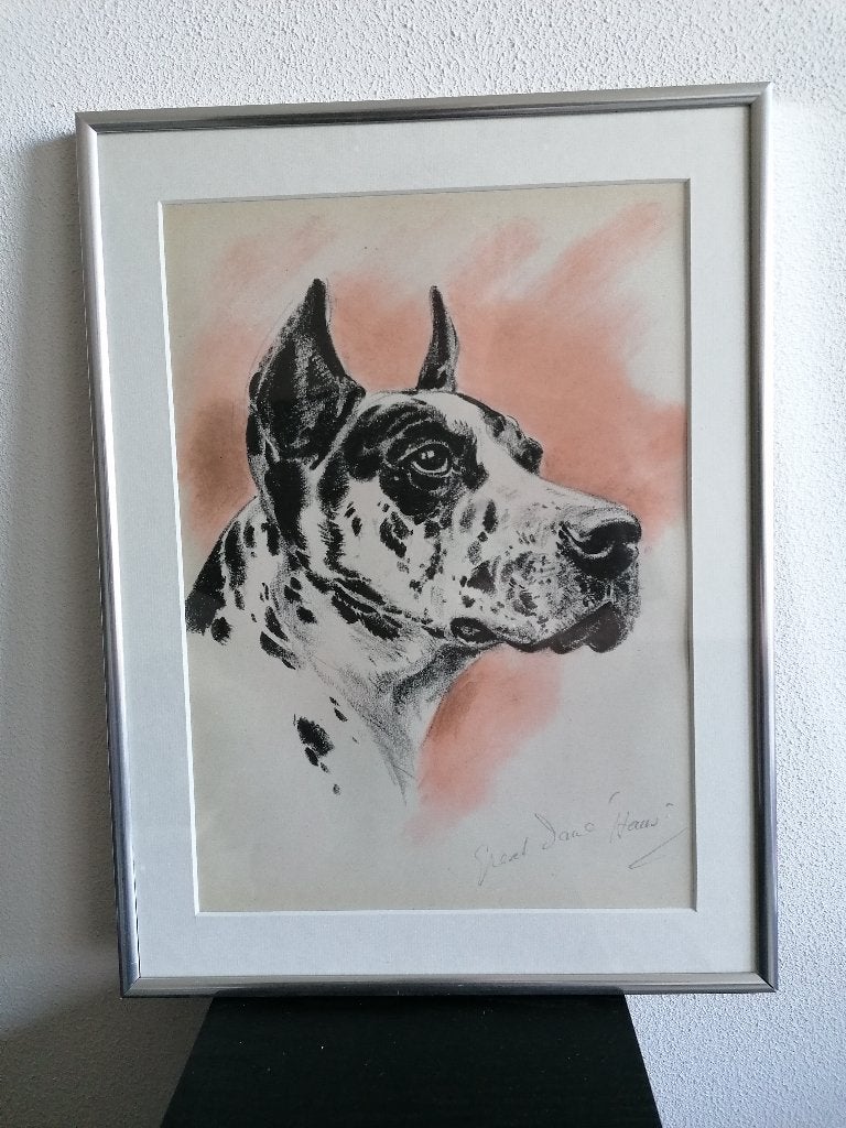 Deense Dog Honden Origineel Litho Diana Thorne Lijst 1944, Ophalen of Verzenden