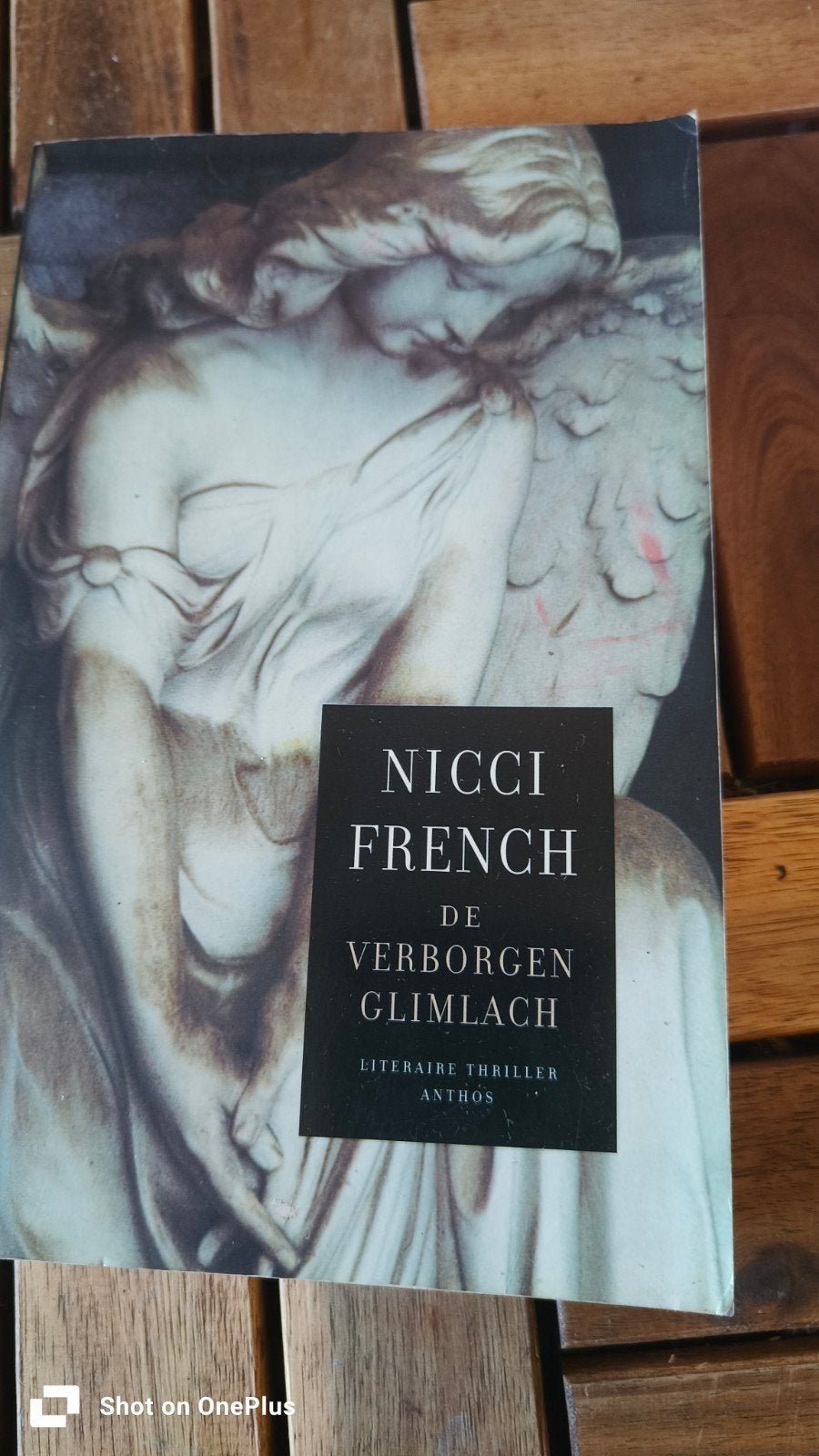 Nicci French - De Verborgen Glimlach (Literaire Thriller), Ophalen of Verzenden, Gelezen, Nicci French, Europa overig