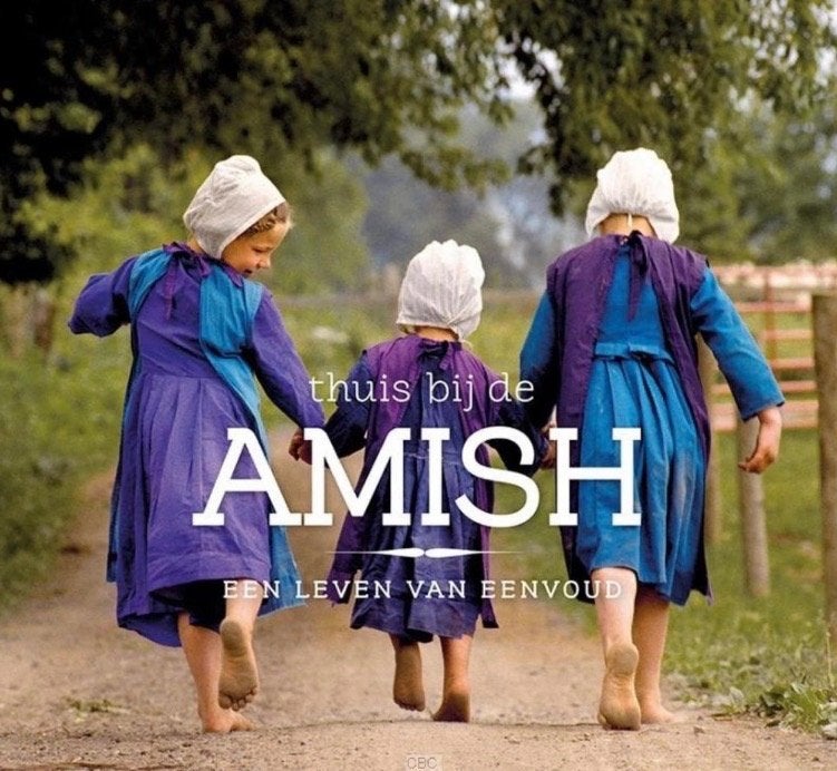 Boek - thuis bij de Amish, Ophalen of Verzenden, Gelezen, Daniëlle Heerens