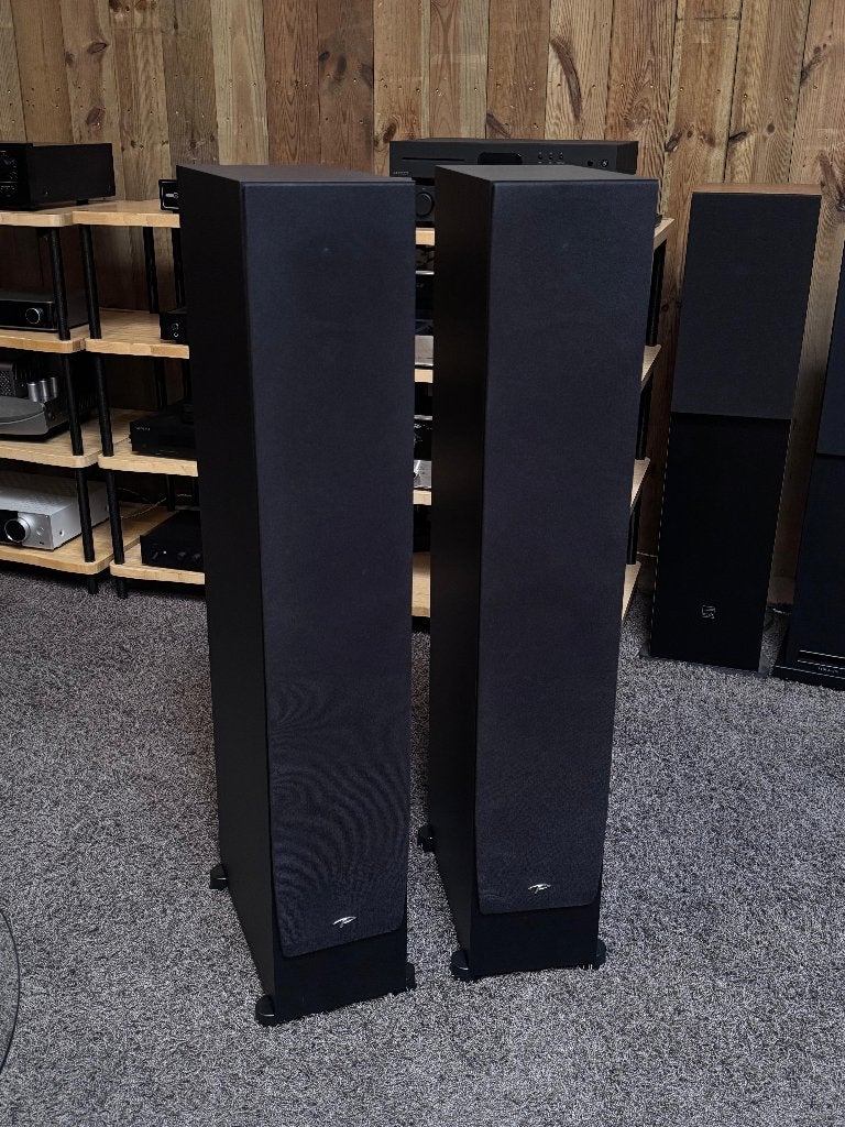 Paradigm SE Monitor 600F, Vloerstaande luidspreker, Gebruikt, 60 tot 120 watt, Ophalen