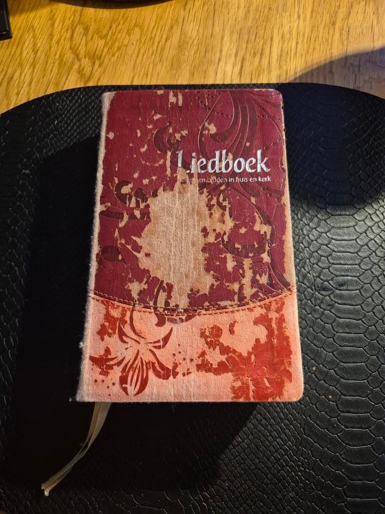 Liedboek, Boeken, Ophalen of Verzenden, Gelezen