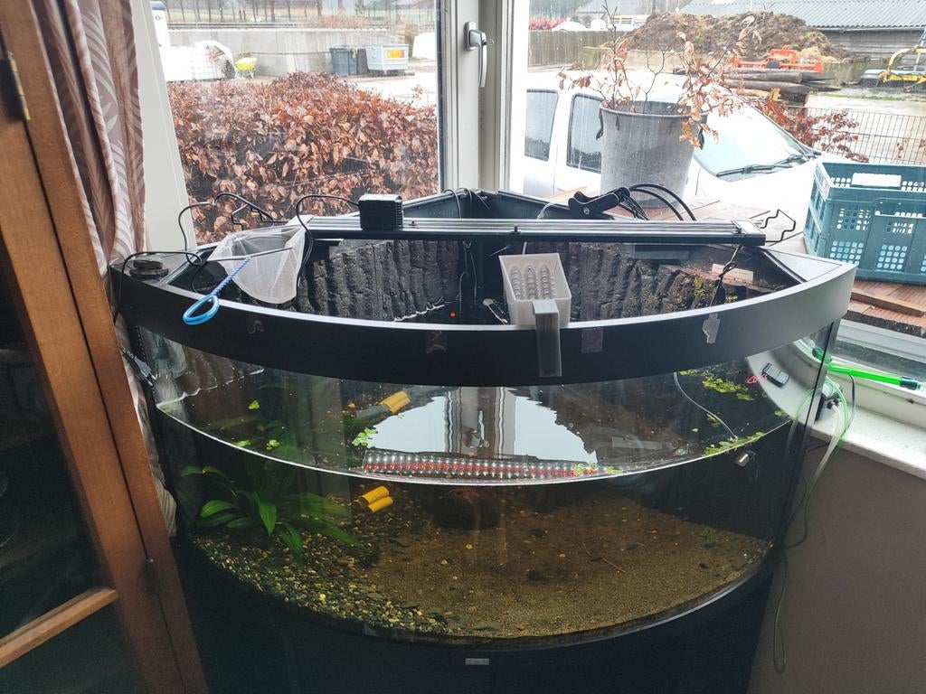 Juwel Trigon 350 liter, Dieren en Toebehoren, Vissen | Aquaria en Toebehoren, Ophalen, Zo goed als nieuw, Plant(en), Steen of Hout