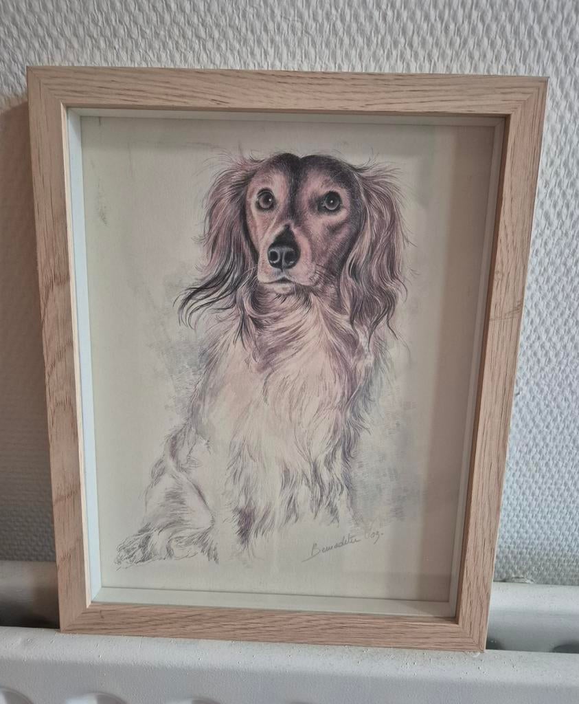 Lithografie teckel Bernadette Vos van Antwerpen, Verzenden, Minder dan 50 cm, Schilderij, Minder dan 50 cm