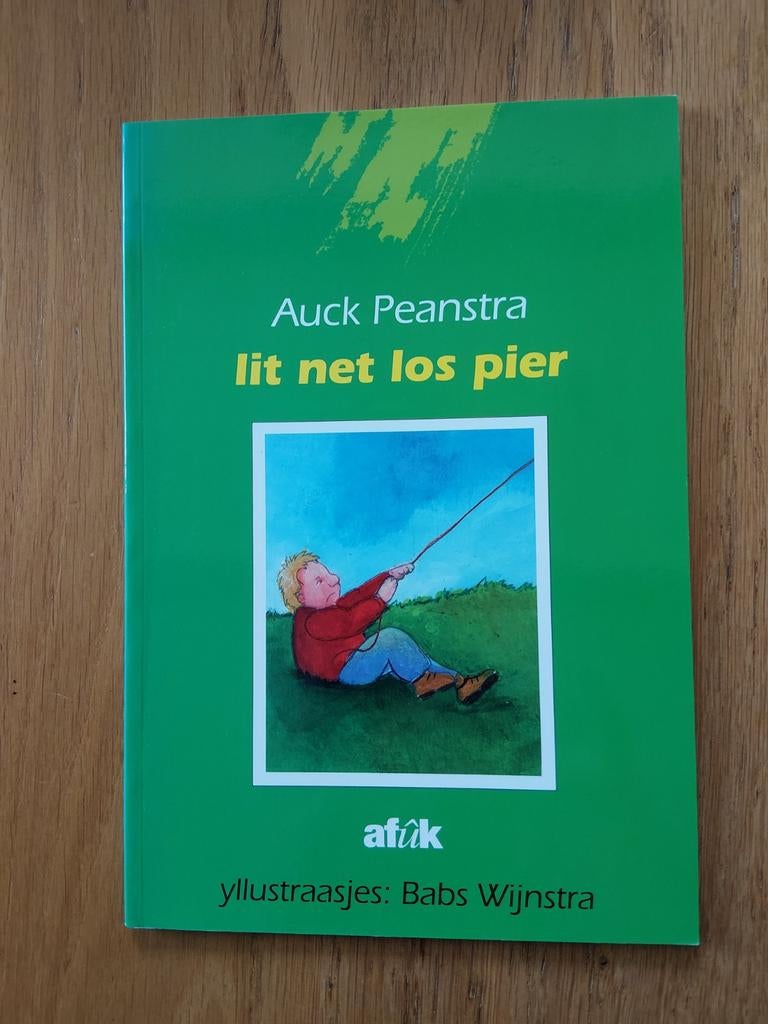 Lit net los pier, Ophalen of Verzenden, Zo goed als nieuw, Fictie algemeen