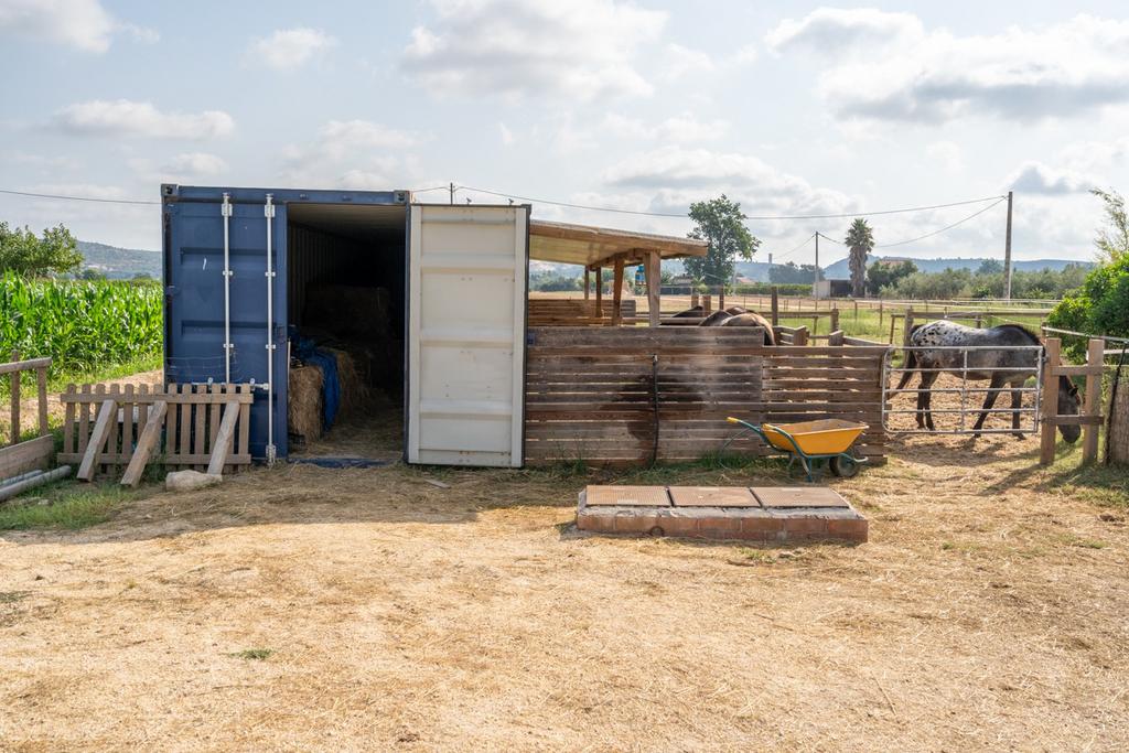 Te koop woning met stallen en 1 hectare grond, Huizen en Kamers, Woonhuis, 4 kamers, Spanje, Landelijk