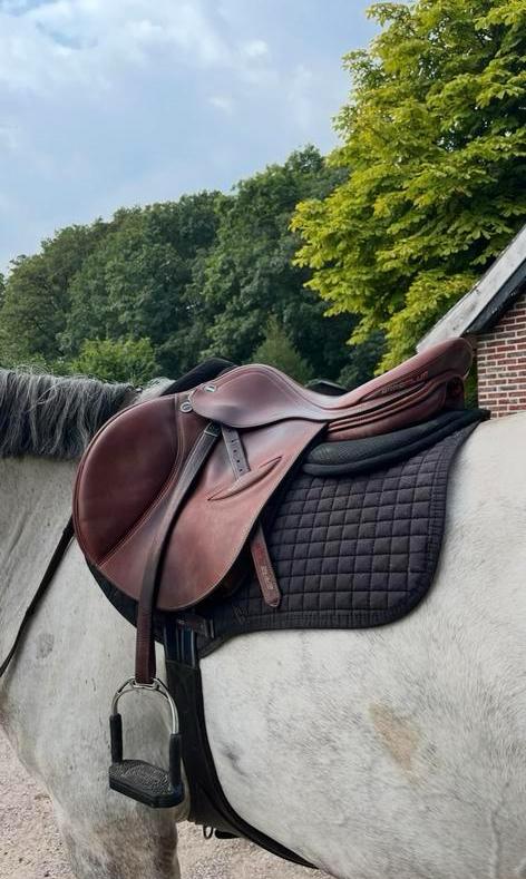 Erreplus JF 17 inch, Dieren en Toebehoren, Paarden en Pony's | Zadels, Ophalen, Springen
