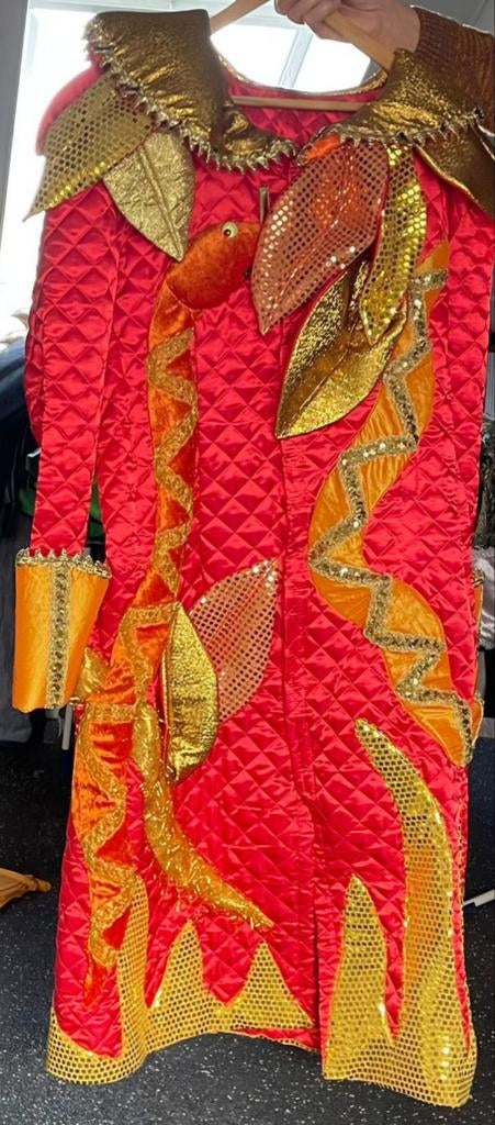 Unieke handgemaakte carnavalsjassen - spotprijs!, Kleding | Dames, Carnavalskleding en Feestkleding, Ophalen, Carnaval, Maat 46/48 (XL) of groter