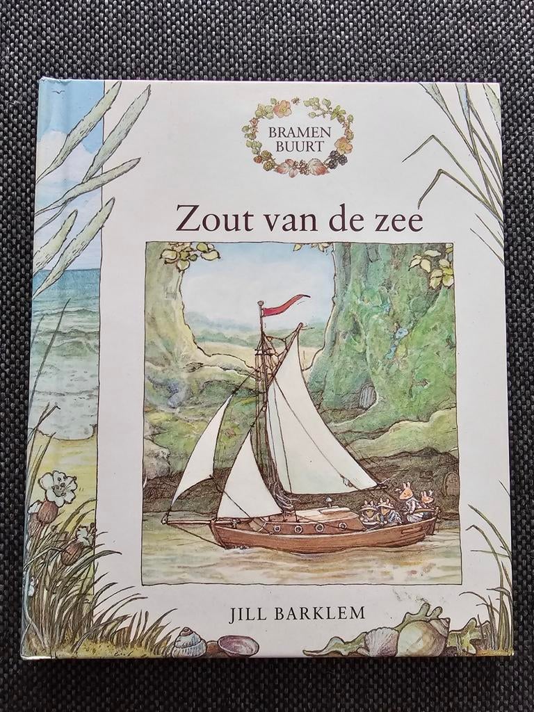 Zout van de zee - Bramenbuurt prentenboek, Boeken, Verzenden
