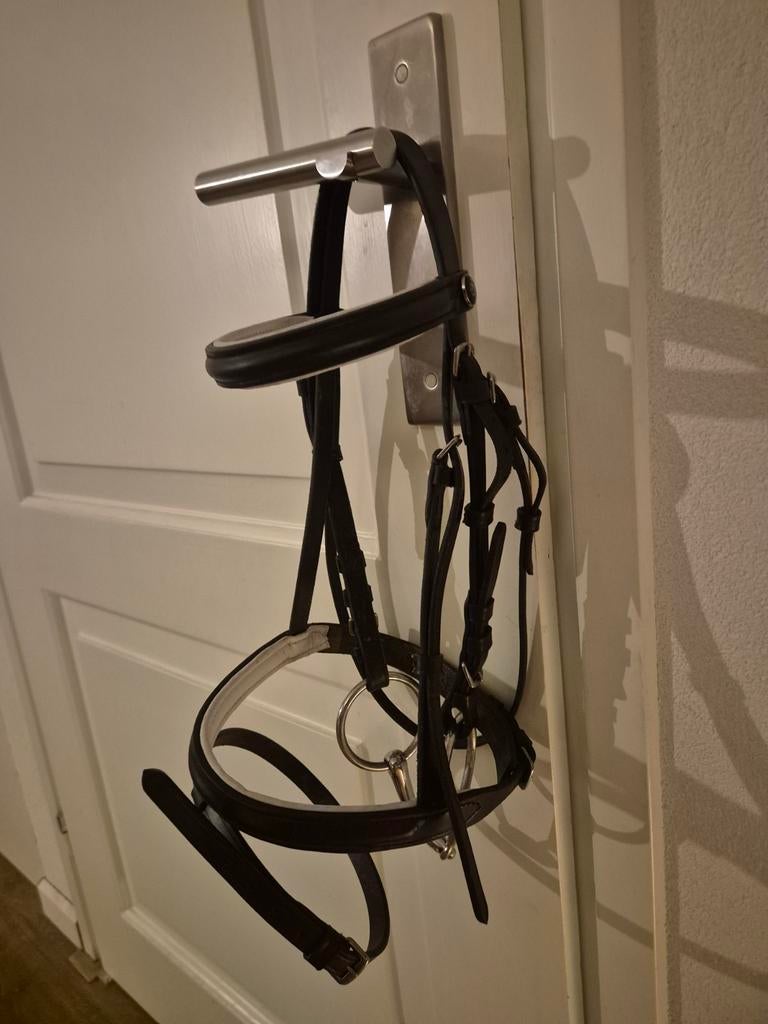 Ej shetland hoofdstel, Ophalen, Zo goed als nieuw, Overige soorten