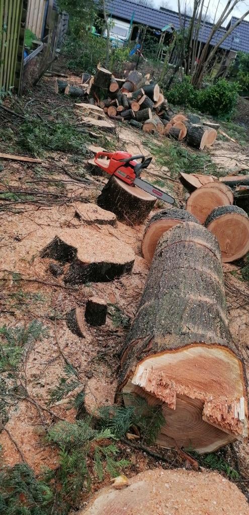 🔥WIJ ZAGEN GRATIS🔥GEZOCHT🌳BRANDHOUT🌳ook Den/Spar