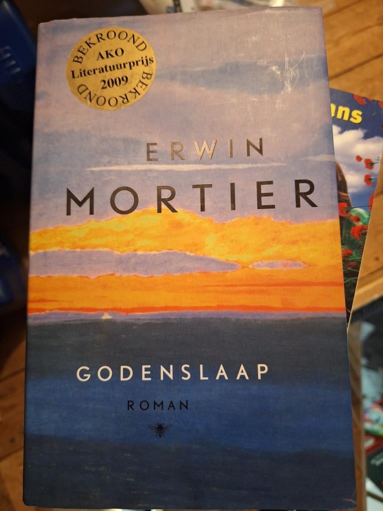 Erwin Mortier - Godenslaap, Ophalen of Verzenden, Zo goed als nieuw, Erwin Mortier