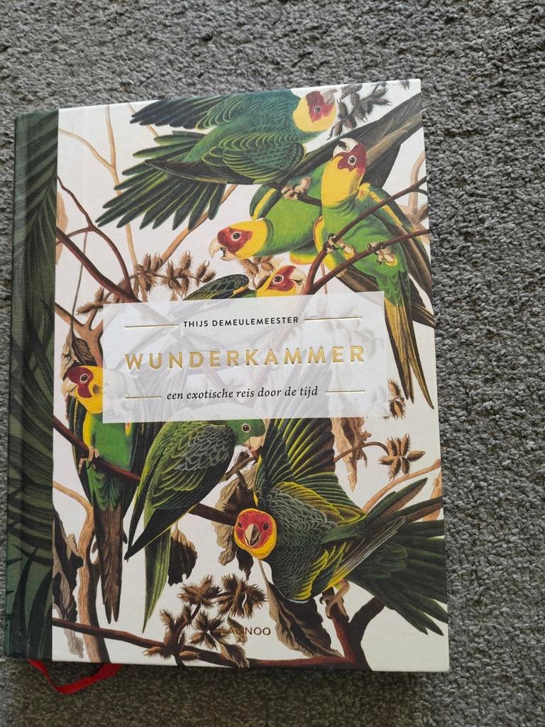 wunderkammer  Thijs Demeulemeester, Ophalen of Verzenden, Zo goed als nieuw, Thijs Demeulemeester