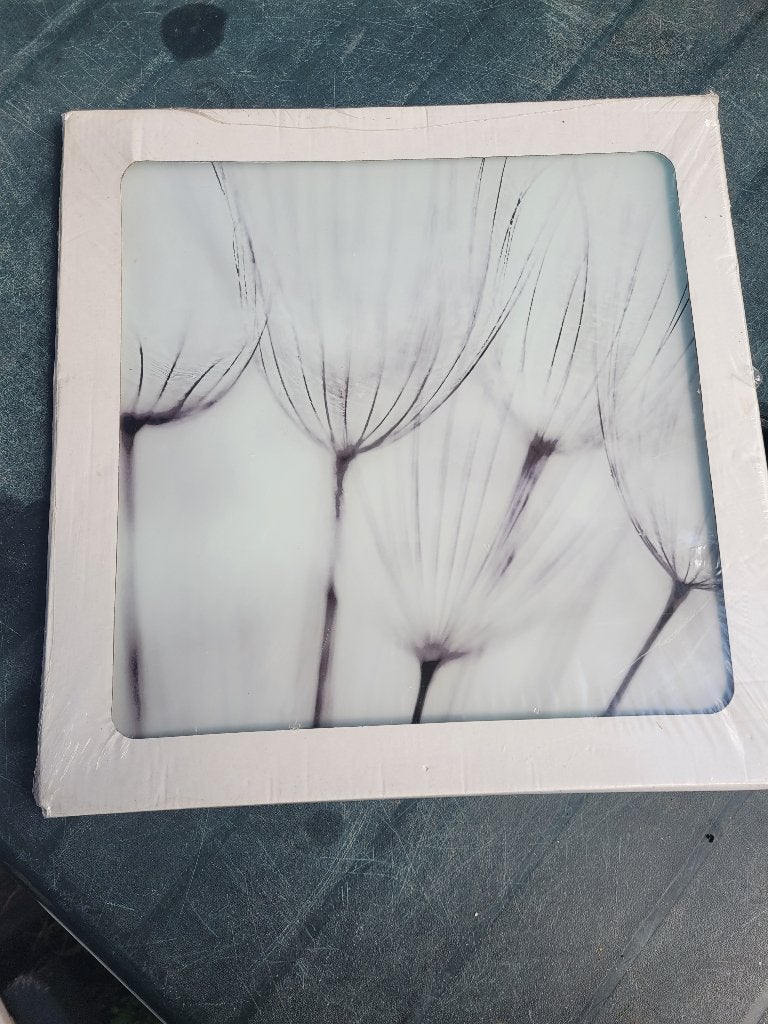 Hele mooie foto voor aan de wand. 40 x 40 cm, Minder dan 50 cm, ., Nieuw, Ophalen of Verzenden