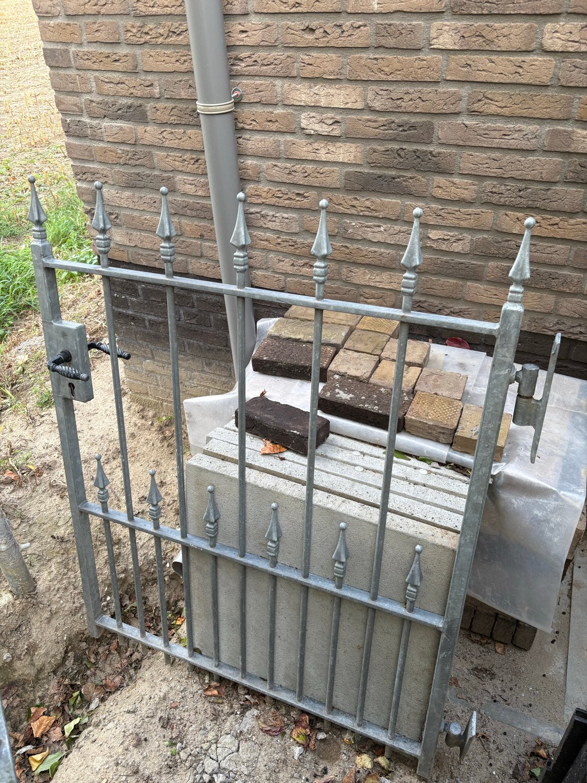 Metalen tuinpoort met sierlijke spijlen, Tuin en Terras, Ophalen, Met poort, Gebruikt, Tuinhek