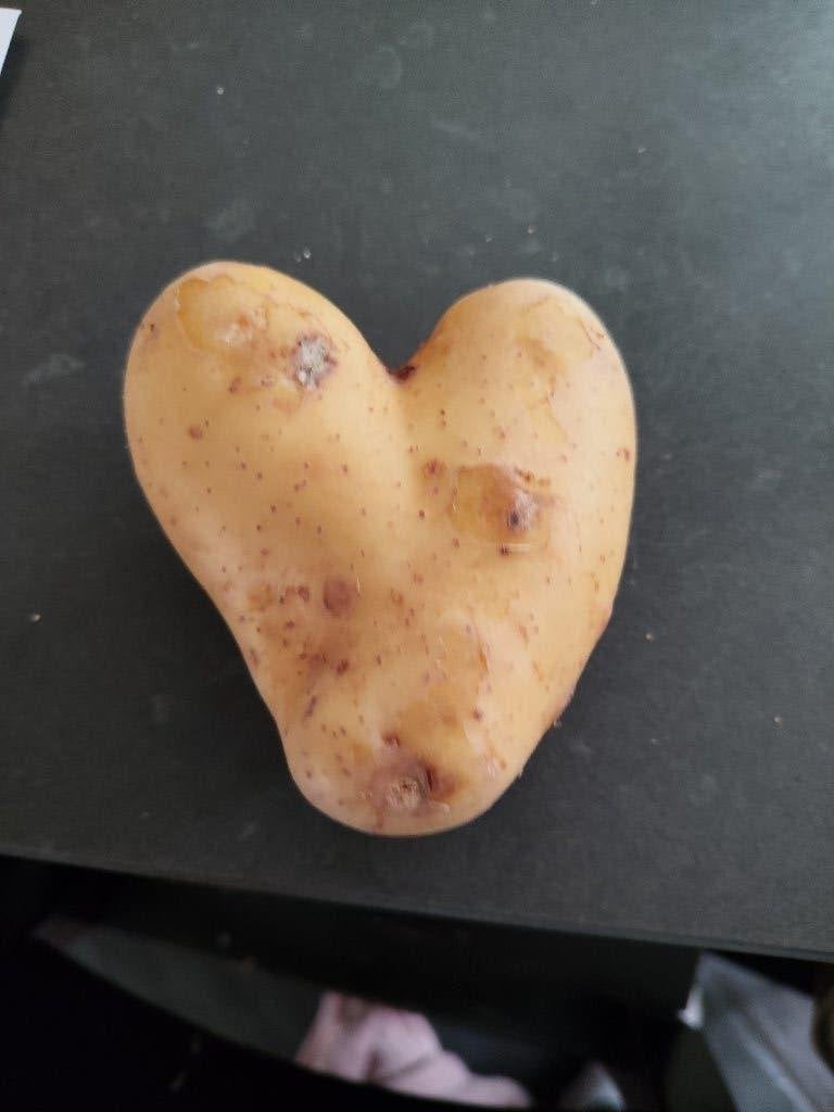 Aardappel in een vorm van een hartje, Ophalen of Verzenden