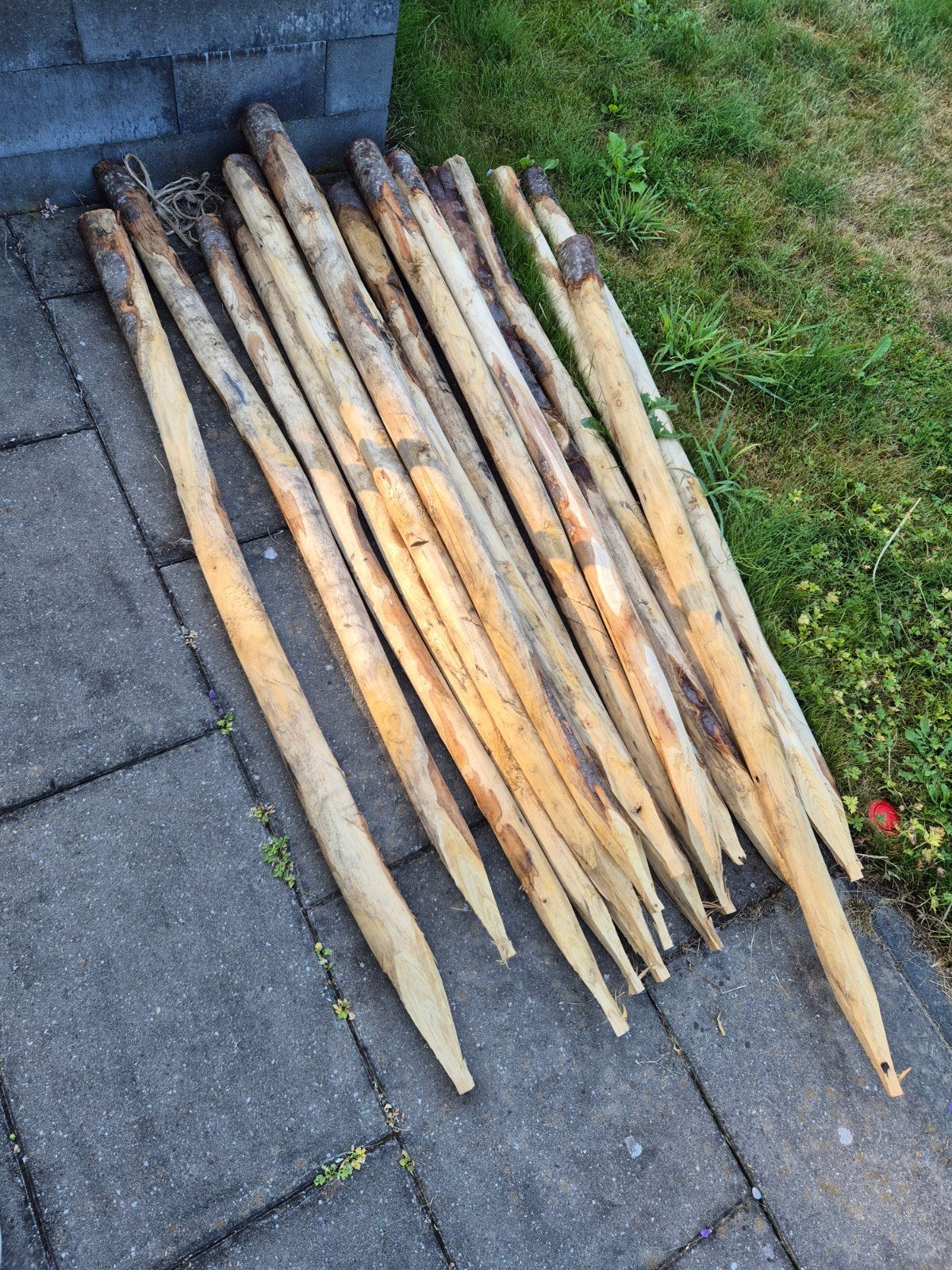 20x Nieuwe Kastanjepalen/Tuinpalen 160cm, diameter 6-8cm, Ophalen, Nieuw, Minder dan 180 cm, Palen