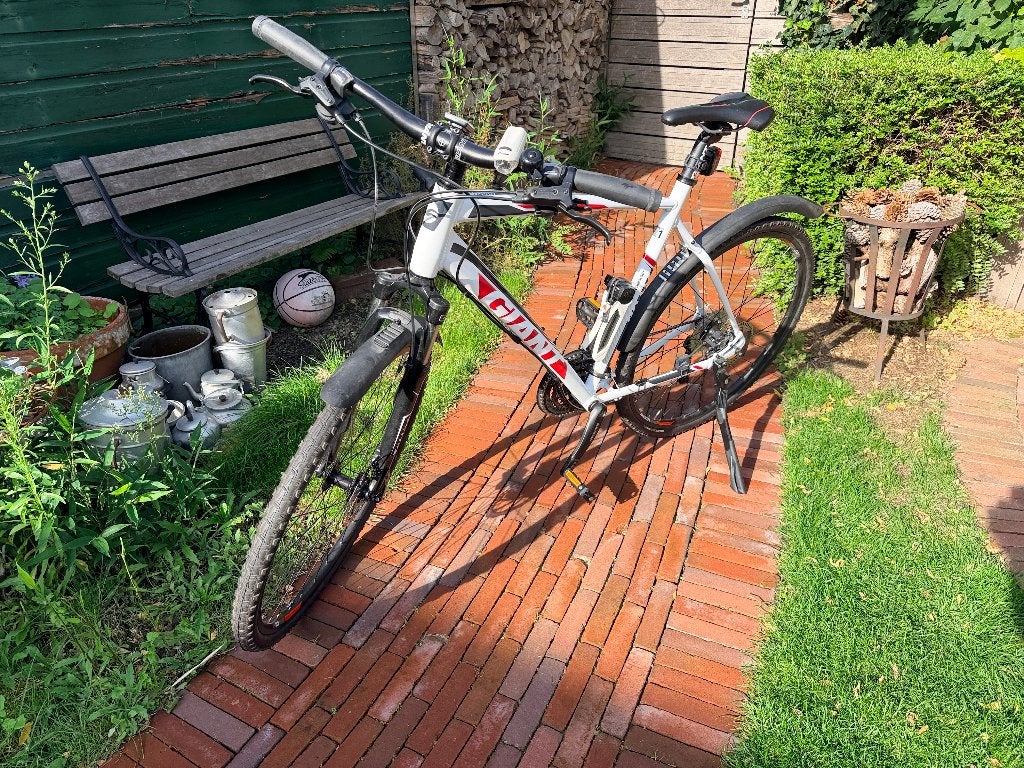 Giant herenfiets Roam 1 XL  ongebruikt wit & rood aluminium, Ophalen, Vering, Giant, Zo goed als nieuw