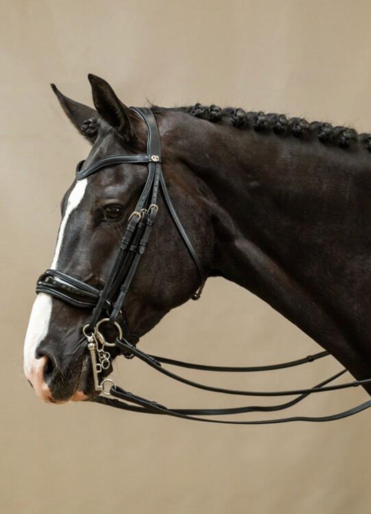 DYON stang/trens hoofdstel cob + teugels, Dieren en Toebehoren, Paarden en Pony's | Hoofdstellen en Tuigage, Ophalen of Verzenden