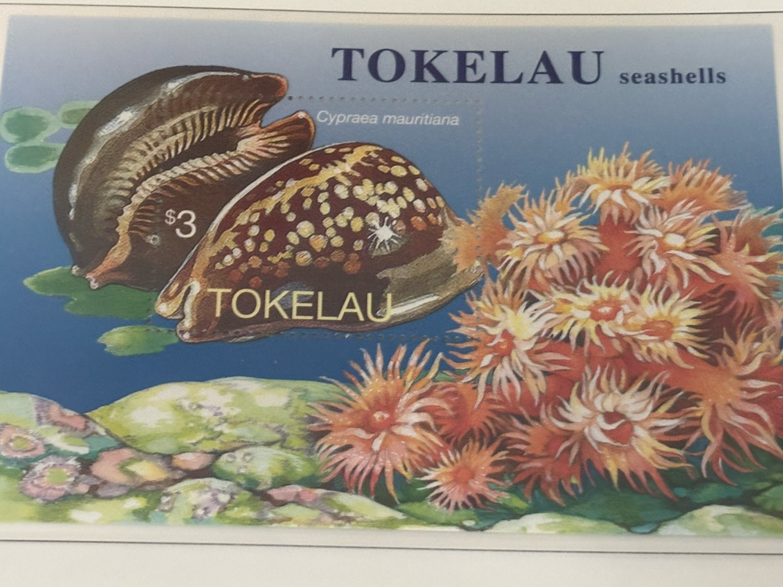 Tokelau-Eilanden 1996, Ophalen of Verzenden, Postfris