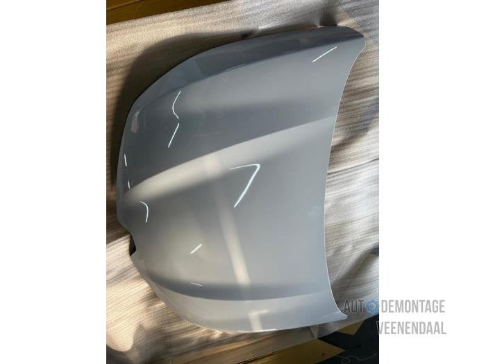 Motorkap van een Renault Clio (OV369), Auto-onderdelen, -, Renault, -, Nieuw