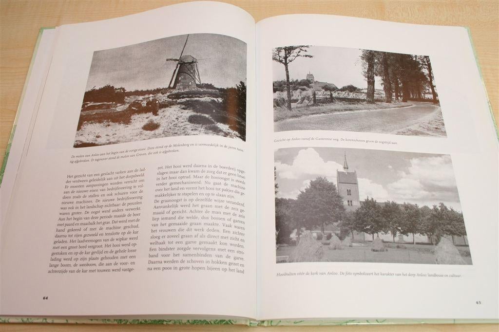 Anloo — Het Dorp, de Kerk en de Etstoel [P. Brood], Ophalen of Verzenden, Zo goed als nieuw
