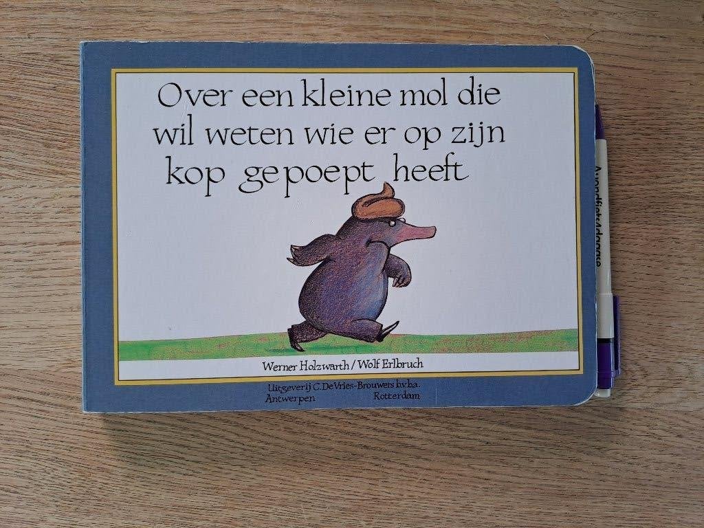 OVER EEN KLEINE MOL DIE WIL WETEN WIE ER OP ZIJN .....KARTON, Boeken, Gelezen, Ophalen of Verzenden, Wener Holzwarth, 2 tot 3 jaar