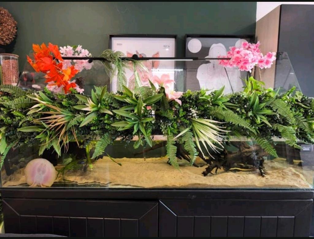 Groot en compleet paludarium, Ophalen, Overige merken, Verwarming, Gevuld zoetwateraquarium