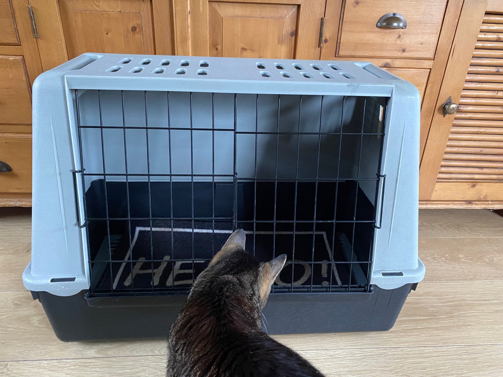 Honden/kattenbench (als nieuw), Ophalen, Zo goed als nieuw