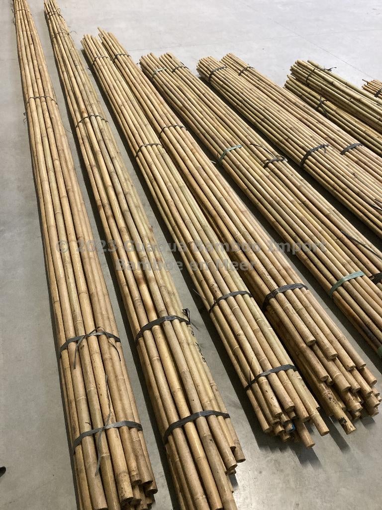 Tonkinstokken bamboestokken bamboe boomsteun plantensteun, Ophalen, Nieuw, Overige typen