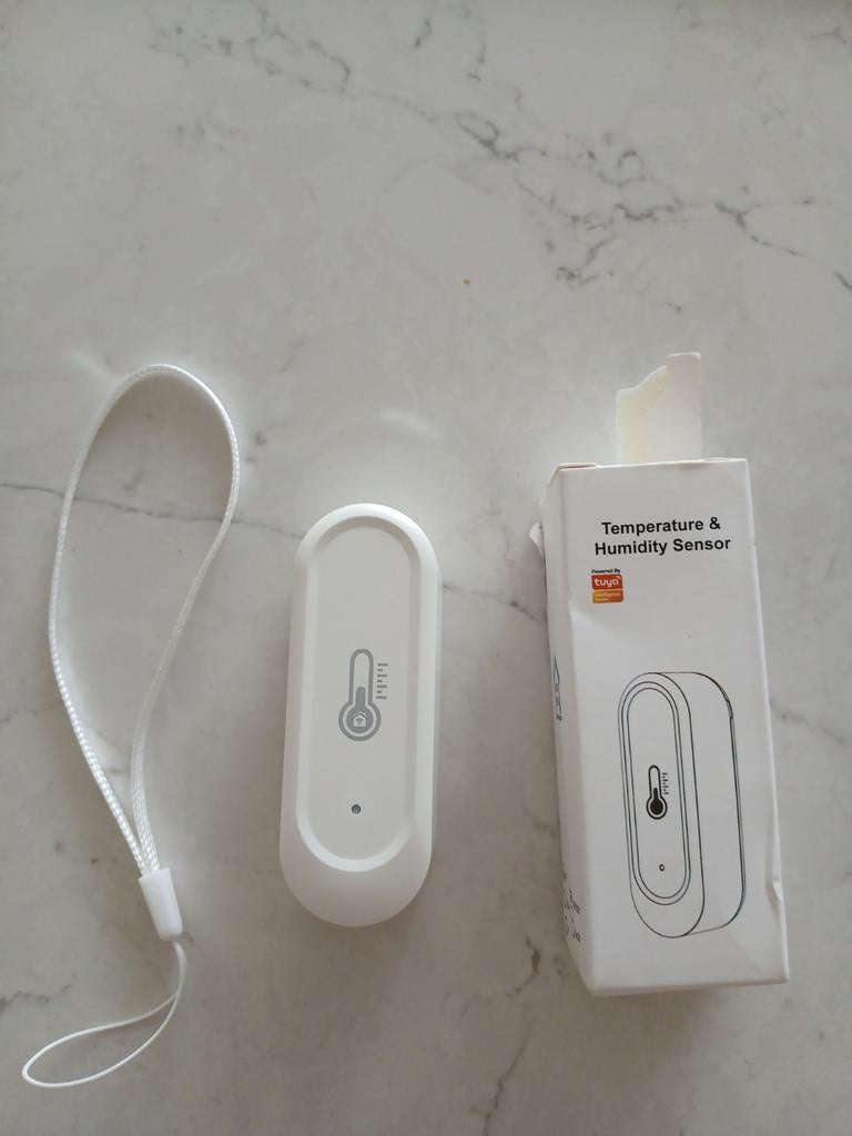 Thermometer, Ophalen of Verzenden, Detector, Sensor of Melder