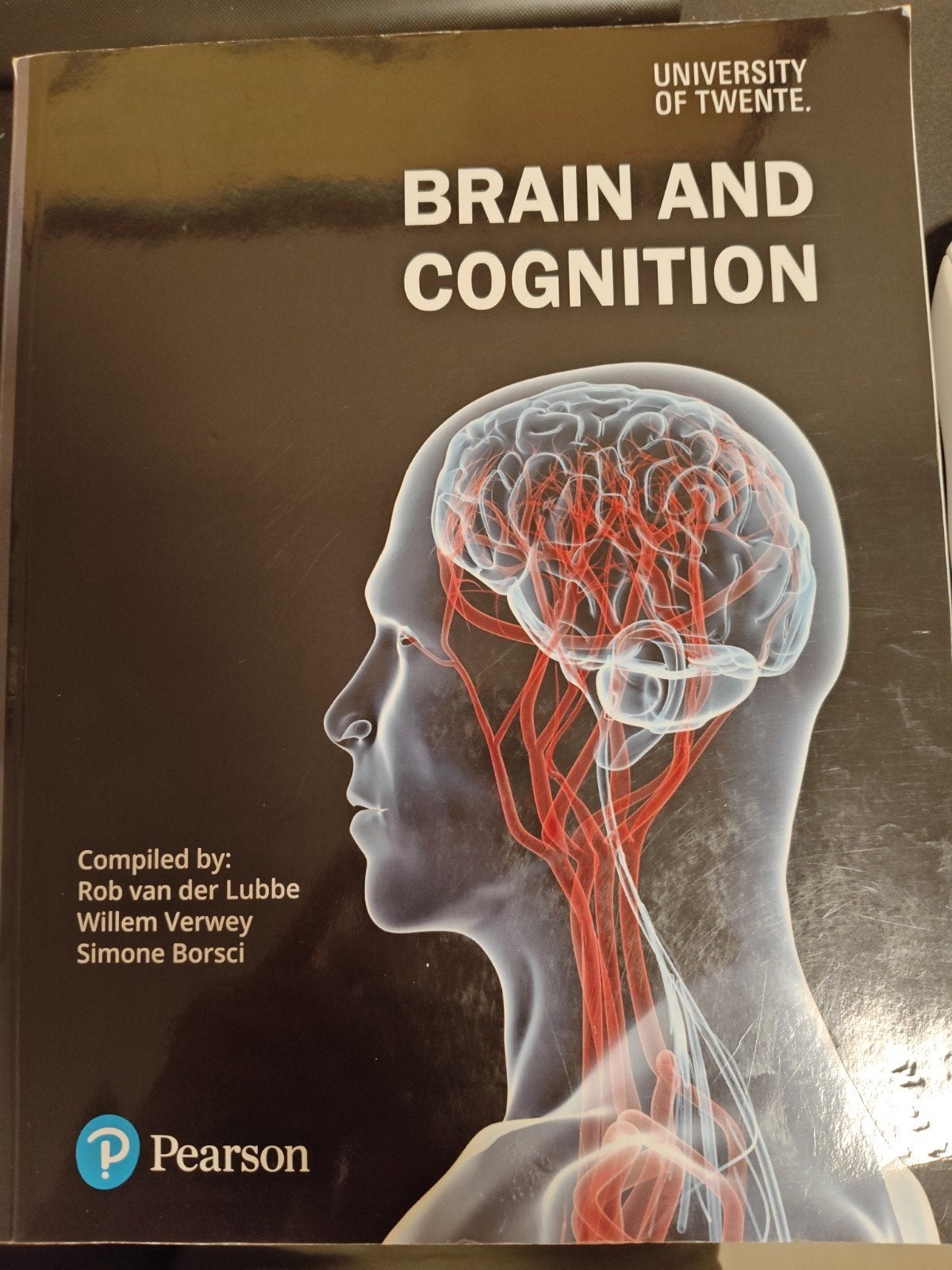 Brain and Cognition (9781787640924), Gelezen, Ophalen of Verzenden, WO, Rob van der Lubbe
