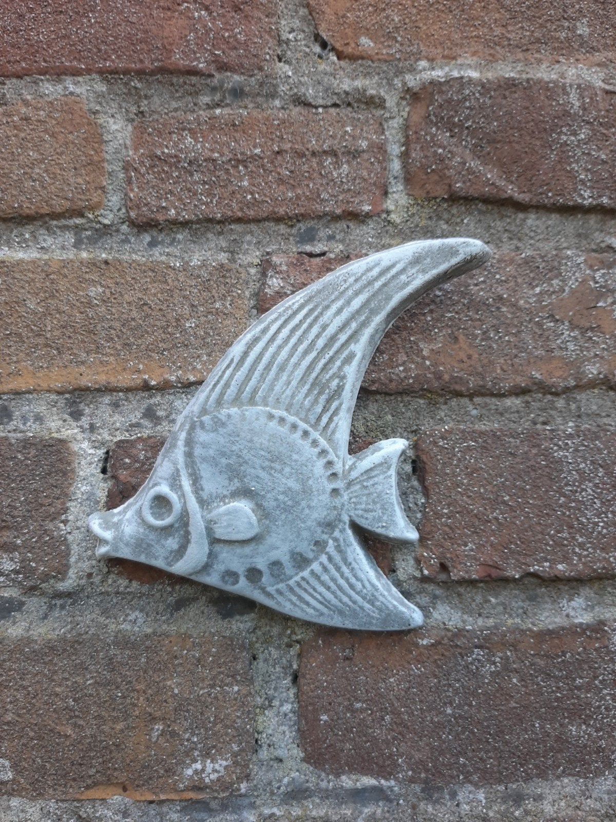 Vis wanddecoratie betonnen beeld tuinbeeld beton, Ophalen of Verzenden, Gebruikt