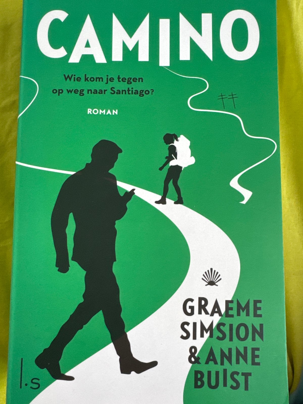 Camino: Roman over een reis naar Santiago, Boeken, Ophalen of Verzenden, Zo goed als nieuw, Nederland