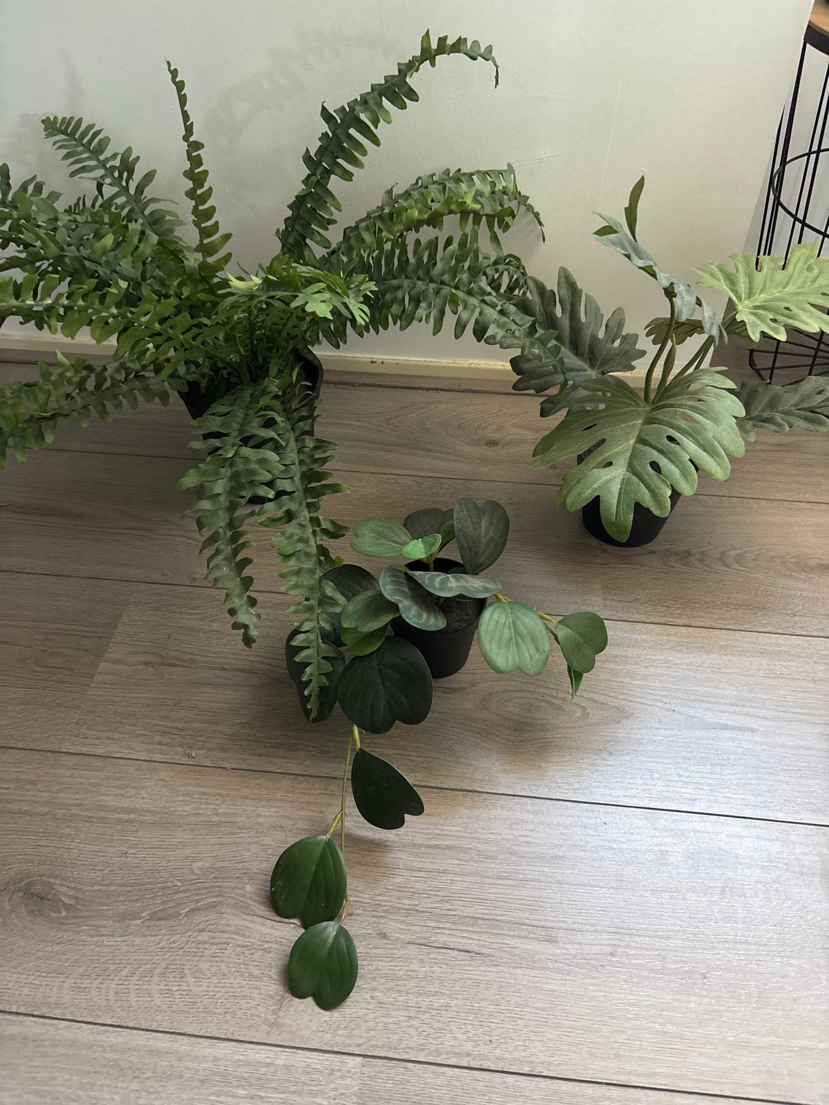 Diverse kunstplanten, Ophalen, Binnen, Groen, Kunstplant