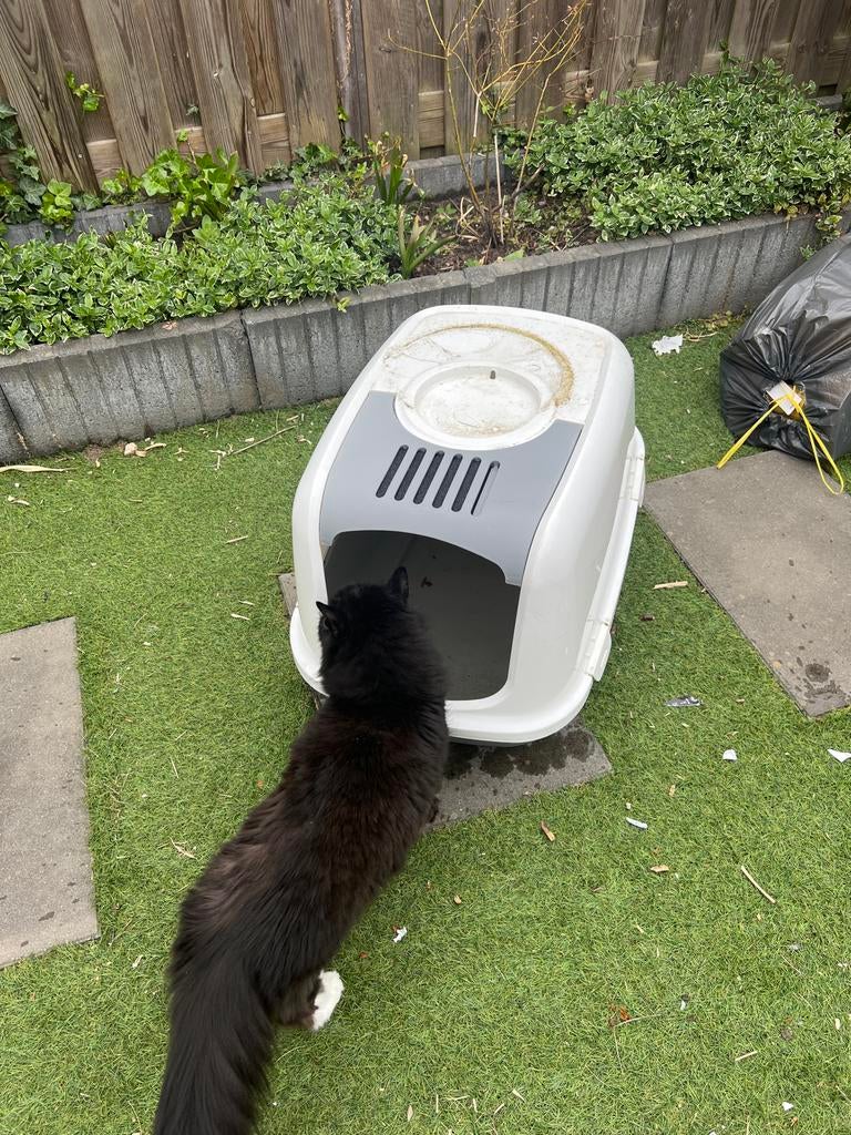 Gratis Kattenbak xl, Dieren en Toebehoren, Ophalen