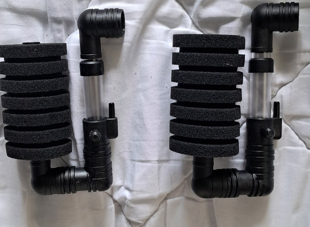 Fiter ruilen met, Overige typen, Zoetwatervis