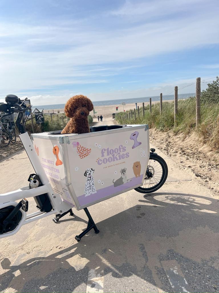 Urban Arrow Cargo Dog Bike - Nieuwstaat, weinig gebruikt, Goederen, Elektrisch, Zo goed als nieuw, Ophalen