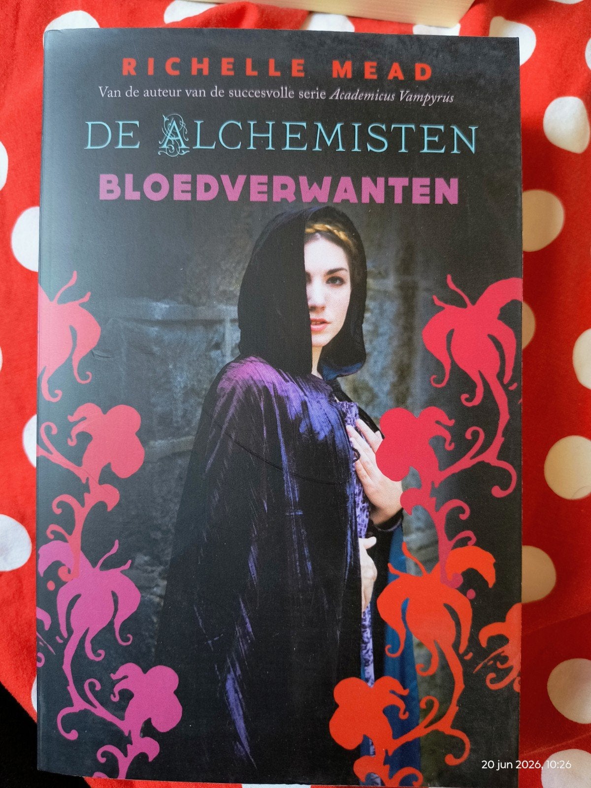 De Alchemisten: Bloedverwanten - Richelle Mead, Boeken, Ophalen of Verzenden, Gelezen, Richelle Mead, Nederland
