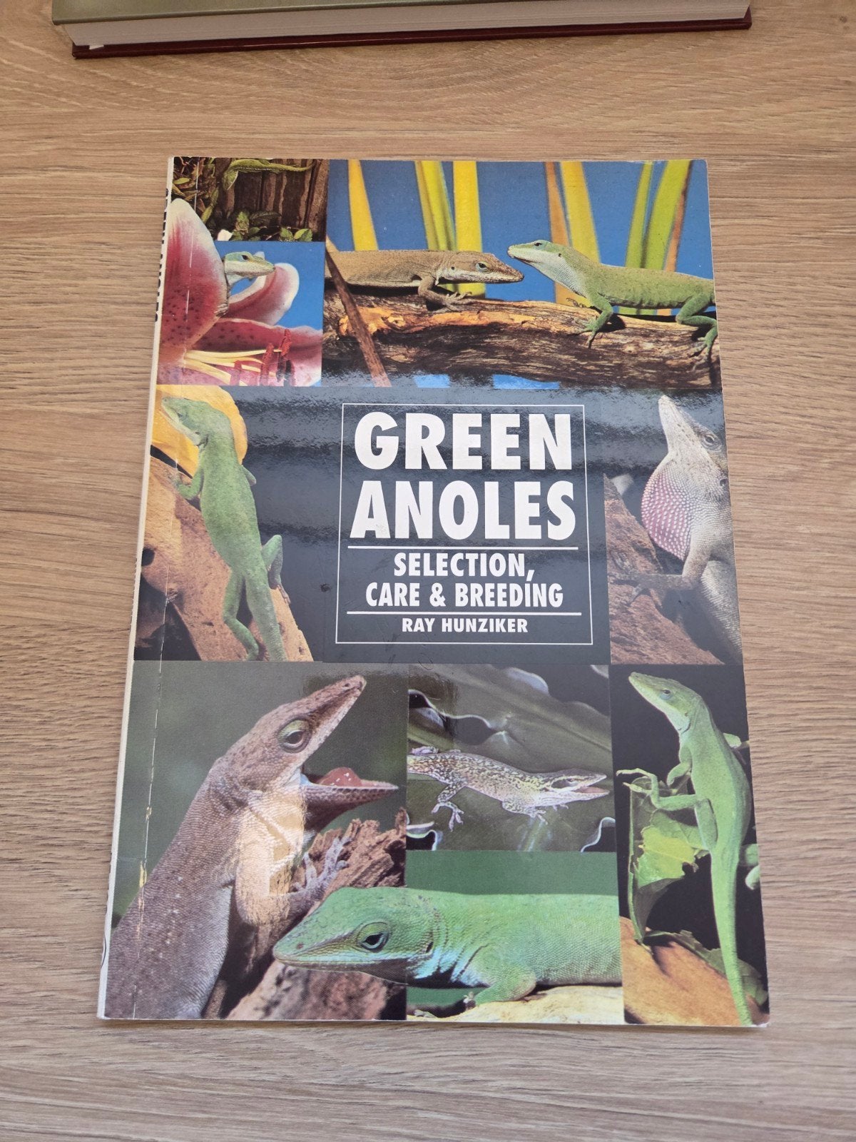 Green Anoles: Selectie, Verzorging & Kweek - Ray Hunziker, Ophalen of Verzenden, Gebruikt, Overige typen
